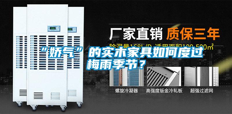 “嬌氣”的實(shí)木家具如何度過梅雨季節(jié)？