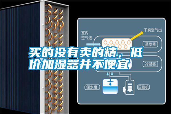 買的沒有賣的精，低價(jià)加濕器并不便宜