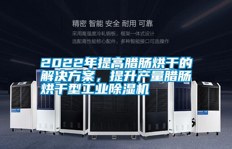 2022年提高臘腸烘干的解決方案，提升產量臘腸烘干型工業(yè)除濕機