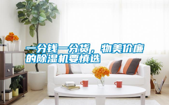 一分錢一分貨，物美價(jià)廉的除濕機(jī)要慎選