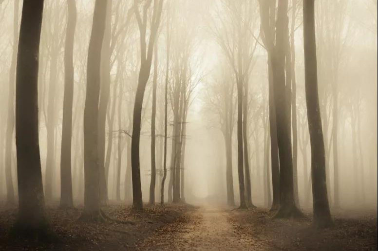 1539662143283673.jpg 微信圖片_20181015175137.jpg