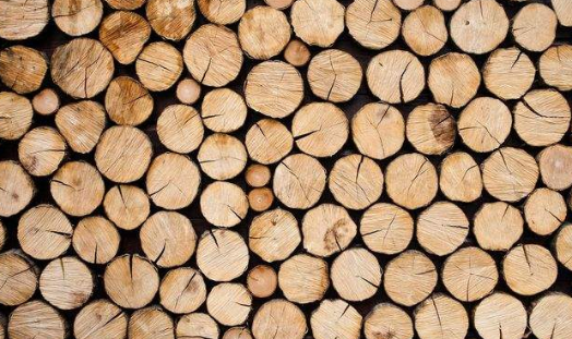 木材烘干除濕機(jī)哪個(gè)牌子好，怎么選擇