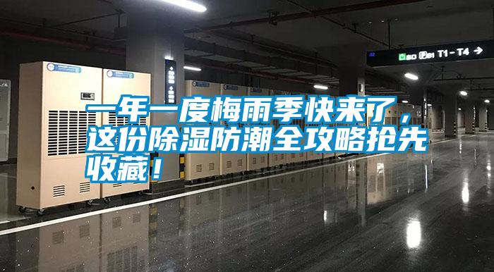 一年一度梅雨季快來了，這份除濕防潮全攻略搶先收藏！