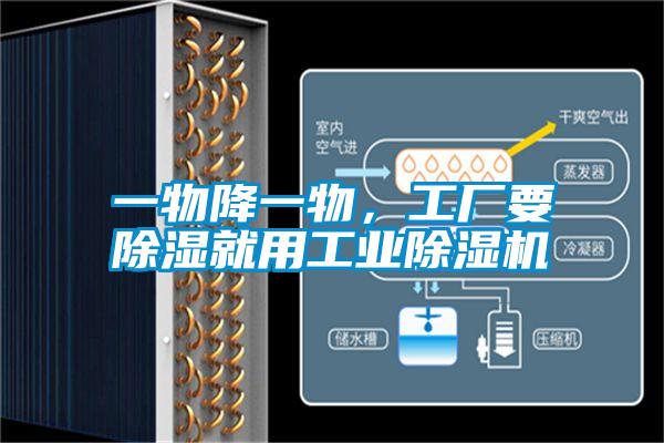 一物降一物，工廠要除濕就用工業(yè)除濕機(jī)