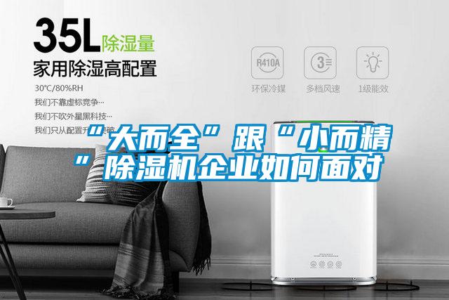 “大而全”跟“小而精”除濕機企業(yè)如何面對