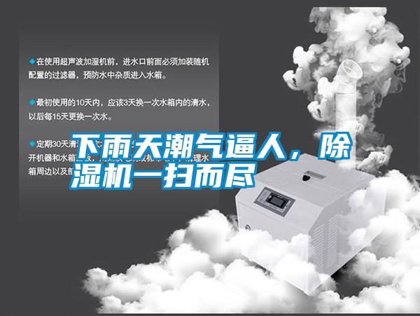 下雨天潮氣逼人，除濕機一掃而盡