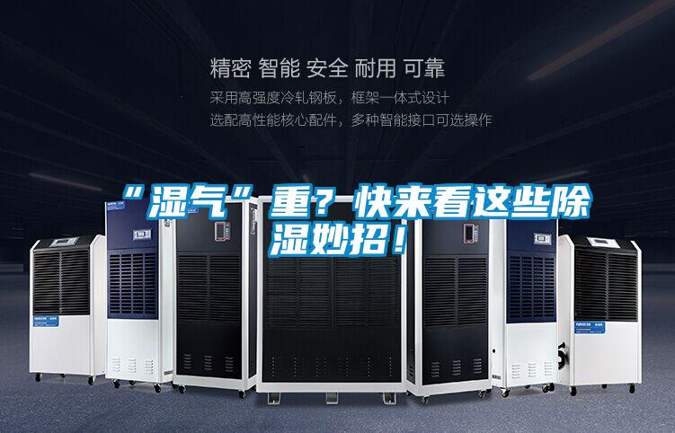 “濕氣”重？快來看這些除濕妙招！