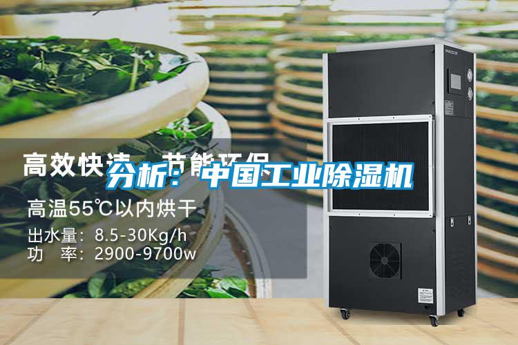 分析:中國工業(yè)除濕機
