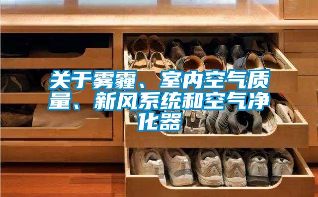 關(guān)于霧霾、室內(nèi)空氣質(zhì)量、新風(fēng)系統(tǒng)和空氣凈化器