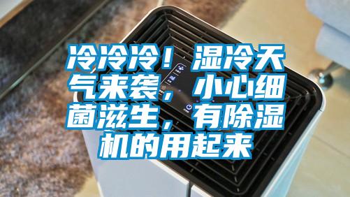 冷冷冷！濕冷天氣來襲，小心細菌滋生，有除濕機的用起來