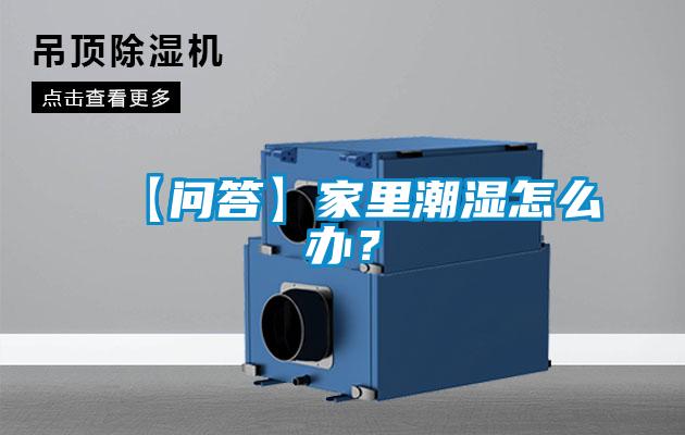 【問答】家里潮濕怎么辦？