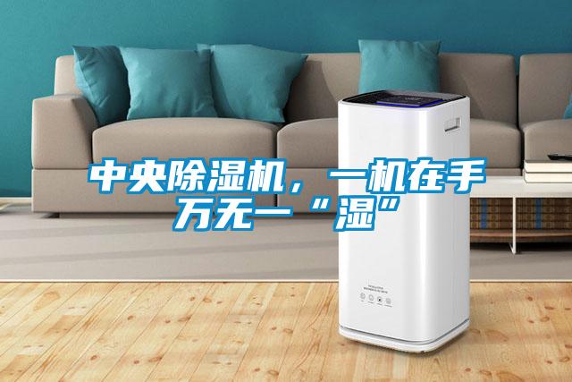 中央除濕機，一機在手萬無一“濕”