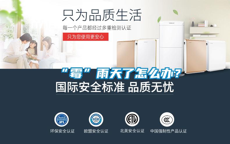 “霉”雨天了怎么辦？