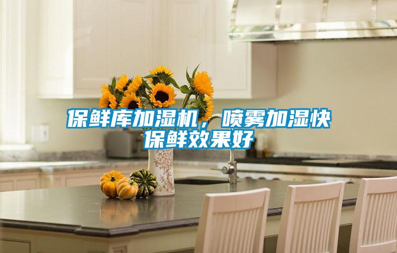 保鮮庫加濕機(jī),噴霧加濕快保鮮效果好