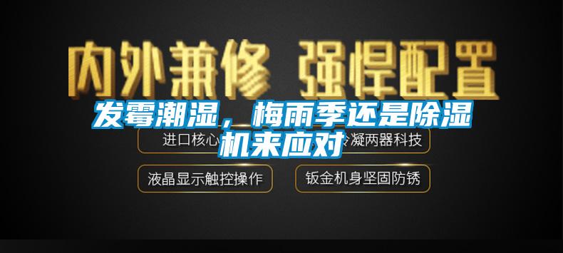 發(fā)霉潮濕，梅雨季還是除濕機來應對