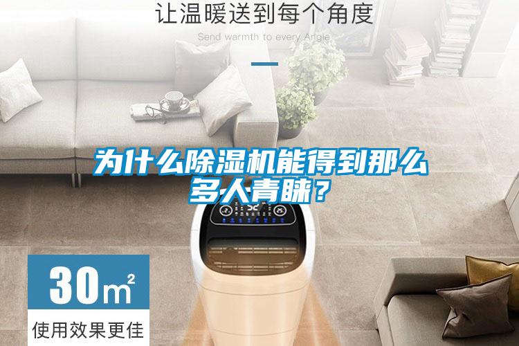 為什么除濕機能得到那么多人青睞？