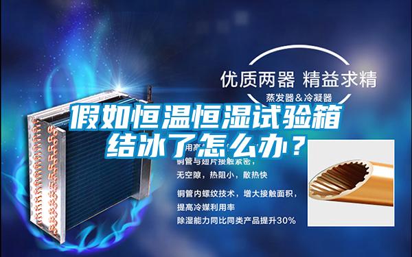 假如恒溫恒濕試驗(yàn)箱結(jié)冰了怎么辦？
