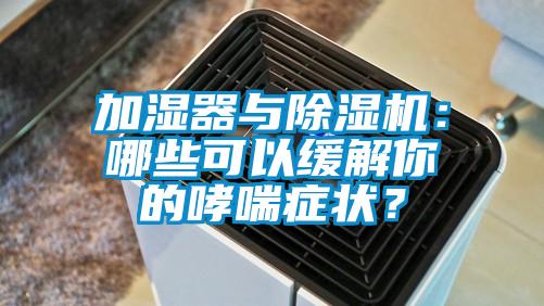 加濕器與除濕機：哪些可以緩解你的哮喘癥狀？