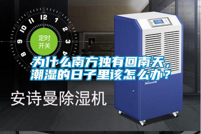 為什么南方獨(dú)有回南天，潮濕的日子里該怎么辦？