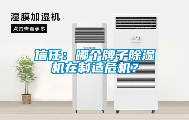 信任：哪個牌子除濕機在制造危機？