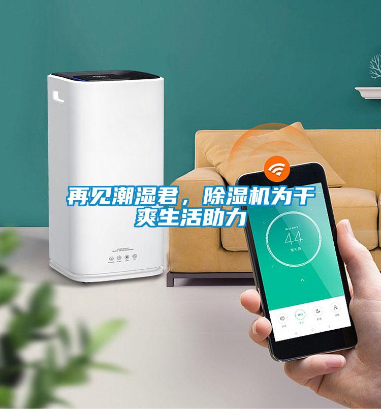 再見潮濕君，除濕機(jī)為干爽生活助力