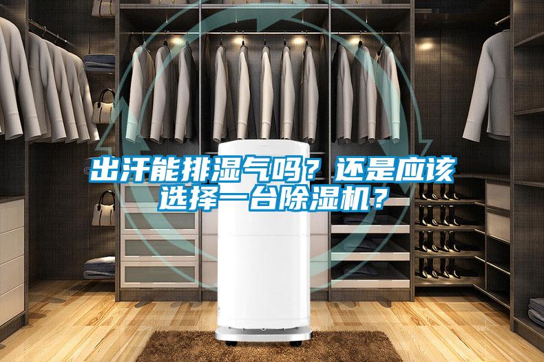 出汗能排濕氣嗎？還是應(yīng)該選擇一臺除濕機？