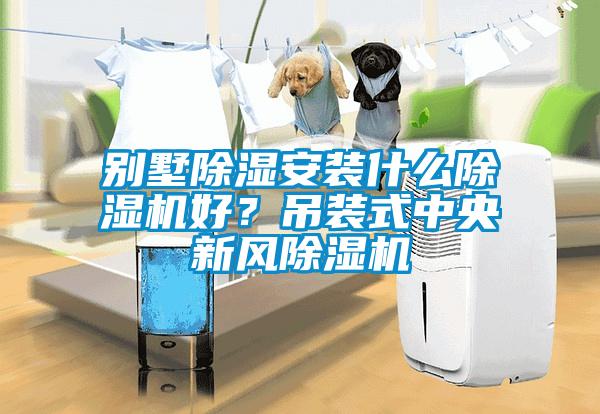別墅除濕安裝什么除濕機(jī)好？吊裝式中央新風(fēng)除濕機(jī)