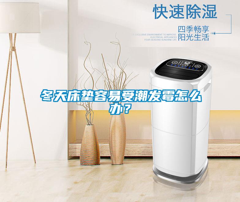 冬天床墊容易受潮發(fā)霉怎么辦？