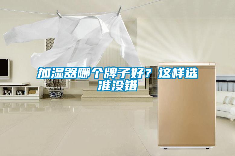 加濕器哪個牌子好？這樣選準(zhǔn)沒錯
