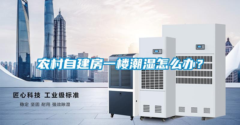 農(nóng)村自建房一樓潮濕怎么辦？