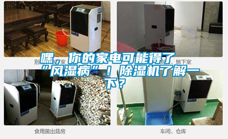 嘿，你的家電可能得了“風(fēng)濕病”！除濕機了解一下？