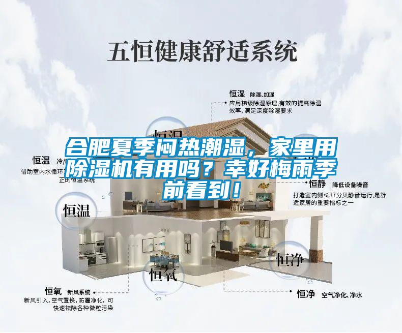 合肥夏季悶熱潮濕，家里用除濕機(jī)有用嗎？幸好梅雨季前看到！