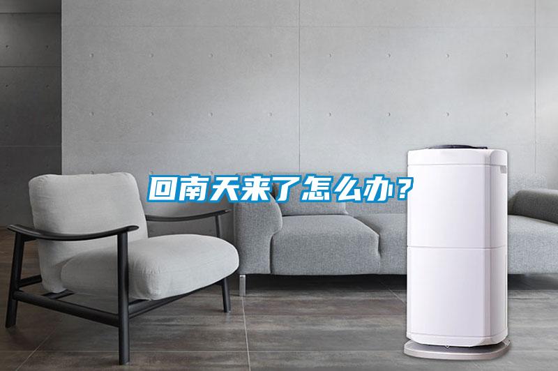 回南天來了怎么辦？