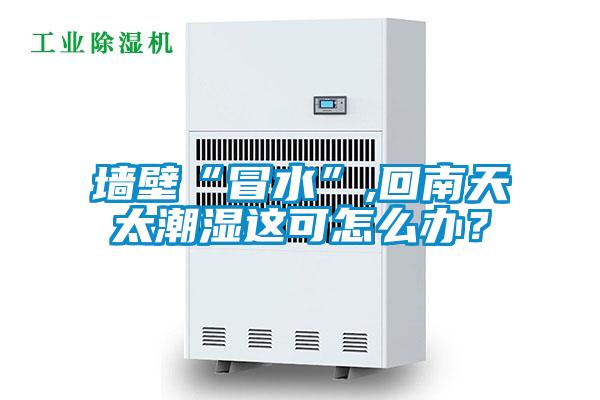 墻壁“冒水”,回南天太潮濕這可怎么辦？