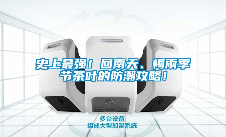 史上最強！回南天、梅雨季節(jié)茶葉的防潮攻略！