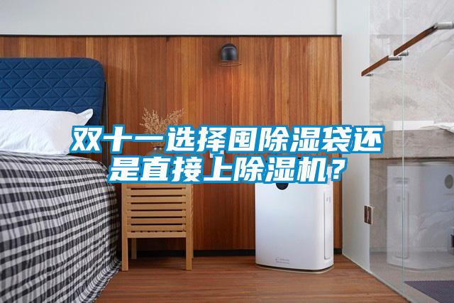 雙十一選擇囤除濕袋還是直接上除濕機？