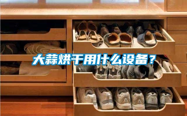 大蒜烘干用什么設(shè)備？