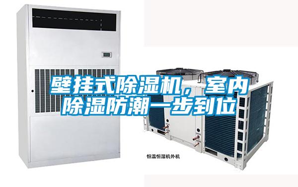 壁掛式除濕機，室內(nèi)除濕防潮一步到位