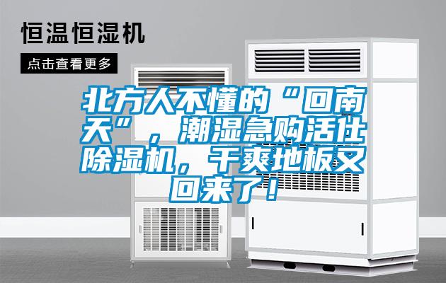 北方人不懂的“回南天”，潮濕急購活仕除濕機，干爽地板又回來了！