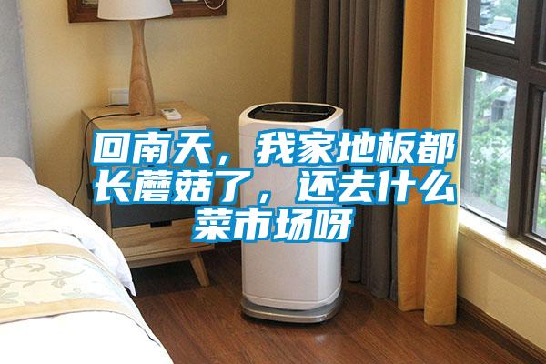 回南天，我家地板都長(zhǎng)蘑菇了，還去什么菜市場(chǎng)呀