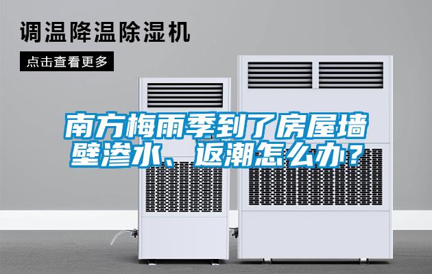 南方梅雨季到了房屋墻壁滲水、返潮怎么辦？
