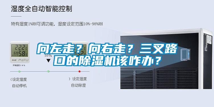 向左走？向右走？三叉路口的除濕機該咋辦？