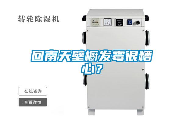 回南天壁櫥發(fā)霉很糟心？