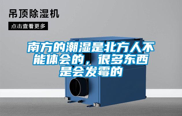 南方的潮濕是北方人不能體會(huì)的，很多東西是會(huì)發(fā)霉的