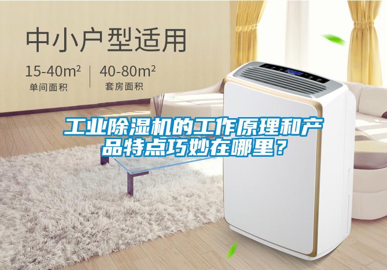 工業(yè)除濕機的工作原理和產(chǎn)品特點巧妙在哪里？