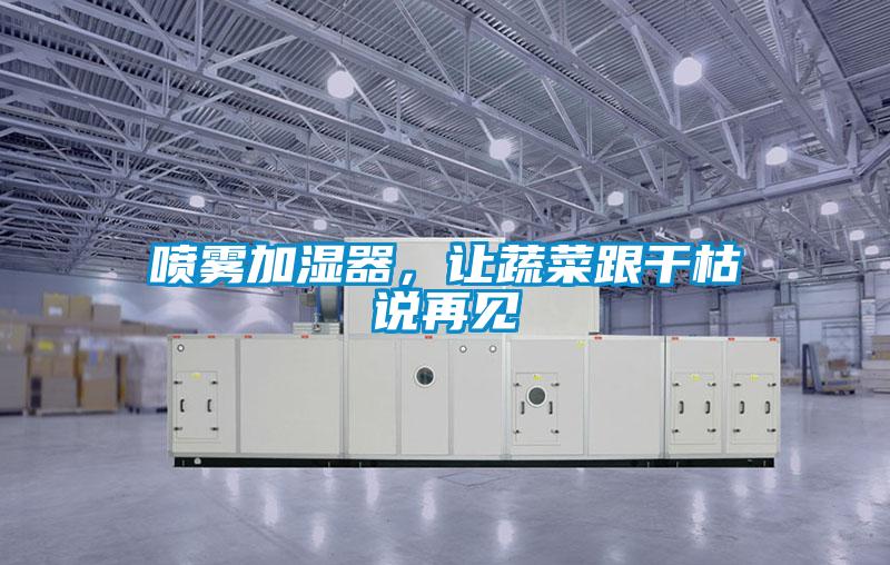 噴霧加濕器，讓蔬菜跟干枯說再見