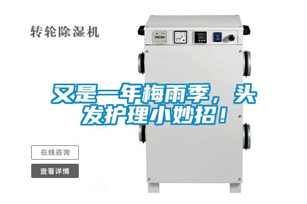 又是一年梅雨季，頭發(fā)護(hù)理小妙招！