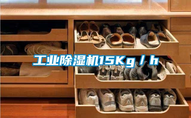 工業(yè)除濕機(jī)15Kg/h