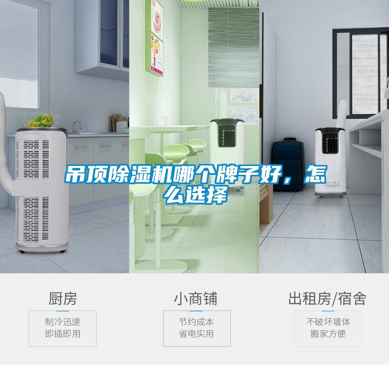 吊頂除濕機哪個牌子好，怎么選擇