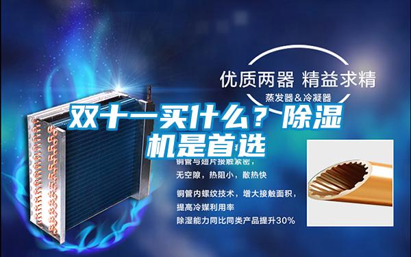 雙十一買什么？除濕機(jī)是首選